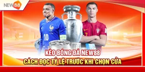 Kèo Bóng Đá NEW88 – Cách Đọc Tỷ Lệ Trước Khi Chọn Cửa