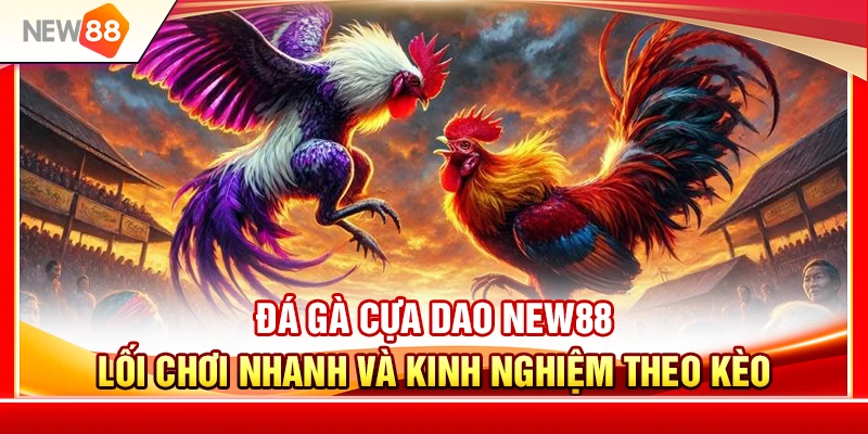 Đá Gà Cựa Dao NEW88 – Lối Chơi Nhanh Và Kinh Nghiệm Theo Kèo 1 Đá Gà Cựa Dao NEW88 – Lối Chơi Nhanh Và Kinh Nghiệm Theo Kèo