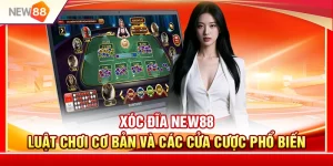 Xóc Đĩa NEW88 – Luật Chơi Cơ Bản Và Các Cửa Cược