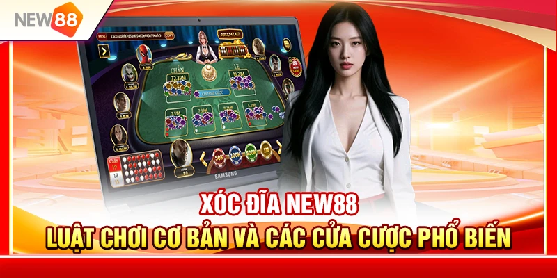 Xóc Đĩa NEW88 – Luật Chơi Cơ Bản Và Các Cửa Cược 1 Xóc Đĩa NEW88 – Luật Chơi Cơ Bản Và Các Cửa Cược