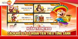 Hoàn Trả NEW88 – Cách Hiểu Tỷ Lệ Hoàn Tiền Theo Từng Sảnh