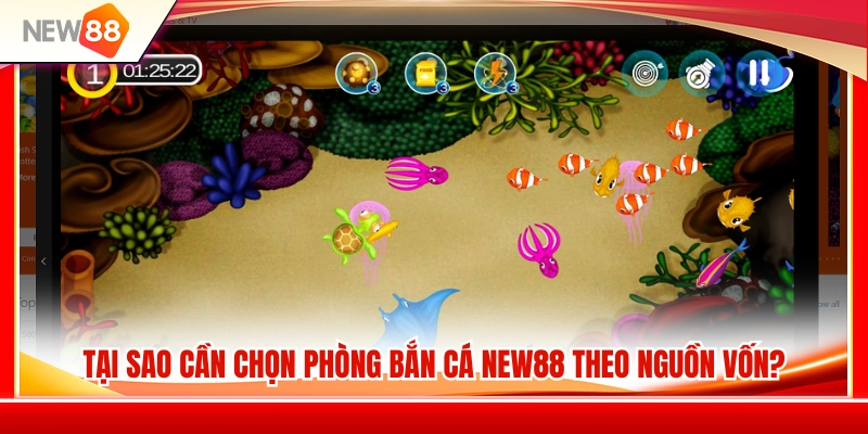 Chọn Phòng Bắn Cá NEW88 Theo Vốn Nhỏ, Vốn Trung Và Vốn Lớn 2 Lý do cần cân nhắc nguồn vốn trước khi tham gia bắn cá NEW88