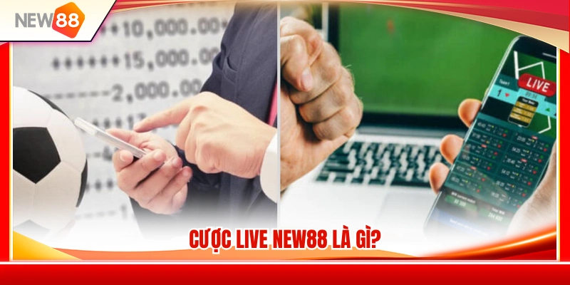 Tìm hiểu khái niệm cược Live NEW88 