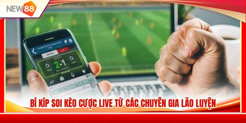 Kinh nghiệm đọc kèo Live hiệu quả từ các chuyên gia 