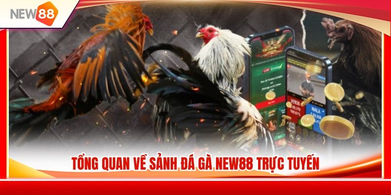 Đá Gà NEW88 1 Giới thiệu chi tiết về sân chơi đá gà NEW88 trực tuyến