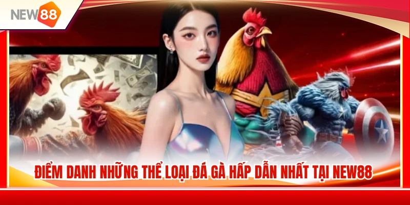 Đá Gà NEW88 2 Những loại hình nổi bật thu hút kê thủ