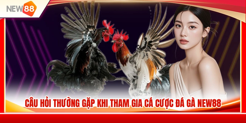 Đá Gà NEW88 3 Giải đáp những thắc mắc phổ biến về đá gà NEW88