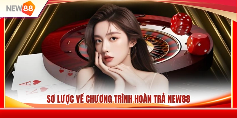 Hoàn Trả NEW88 – Cách Hiểu Tỷ Lệ Hoàn Tiền Theo Từng Sảnh 2 Giới thiệu chương trình cashback NEW 88
