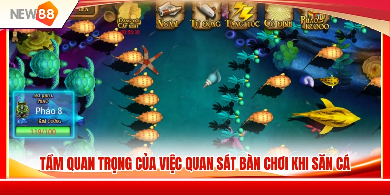 Kinh Nghiệm Bắn Cá NEW88 Giúp Quan Sát Bàn Chơi Tốt Hơn 2 Vì sao quan sát bàn chơi là kỹ năng cần thiết khi bắn cá?