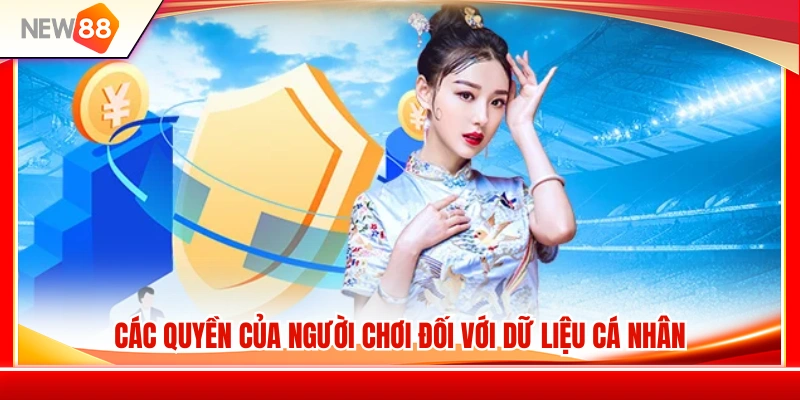 Quyền Riêng Tư NEW88 2 Quyền lợi quan trọng của người chơi liên quan đến dữ liệu cá nhân