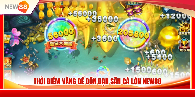 Săn Cá Lớn NEW88 – Khi Nào Nên Dồn Đạn Và Khi Nào Nên Dừng 3 Kinh nghiệm lựa chọn thời điểm săn cá lớn NEW88