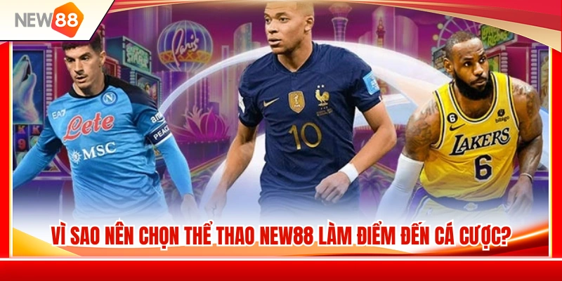 Các yếu tố nổi bật giúp thể thao NEW88 thu hút người chơi 