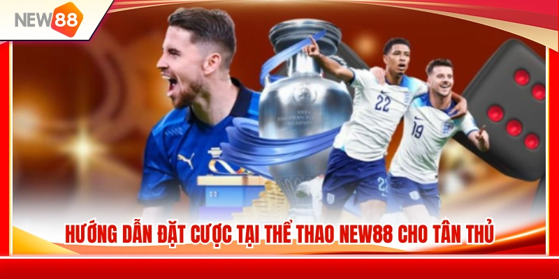 Quy trình tham gia cá cược thể thao NEW88 chi tiết 