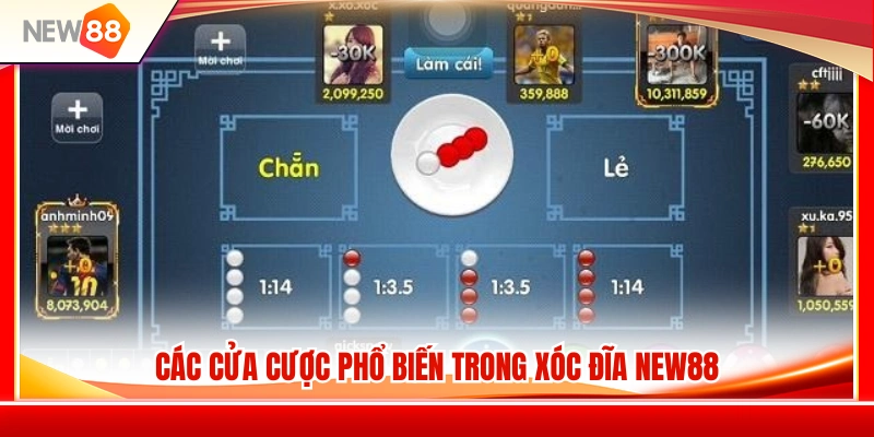 Xóc Đĩa NEW88 – Luật Chơi Cơ Bản Và Các Cửa Cược 3 Giải thích chi tiết các lựa chọn cược tại xóc đĩa NEW88