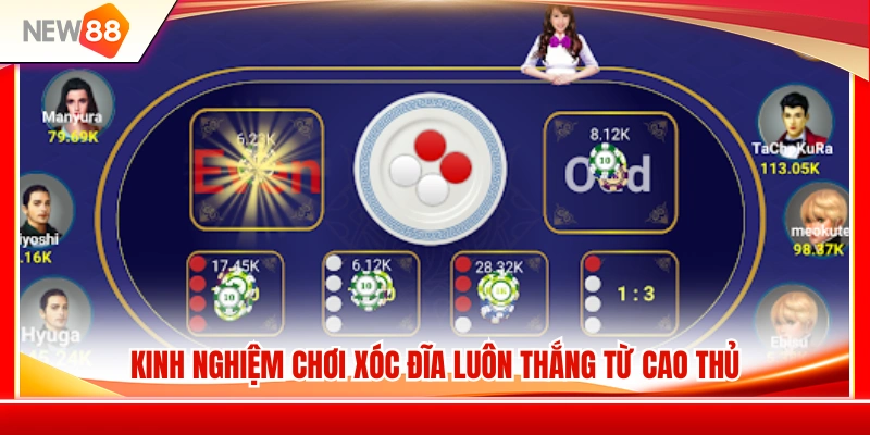 Xóc Đĩa NEW88 – Luật Chơi Cơ Bản Và Các Cửa Cược 4 Mẹo chơi xóc đĩa tối ưu cơ hội chiến thắng
